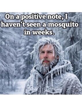 So cold this closet gives discounts 🥶